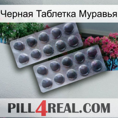 Черная Таблетка Муравья 31